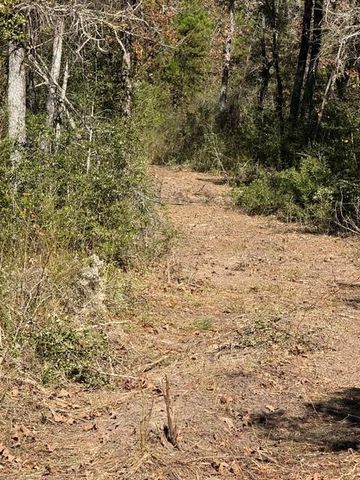 TBD Fm 1280 East, Lovelady, TX 75851