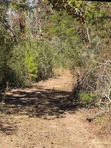 TBD Fm 1280 East, Lovelady, TX 75851