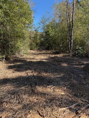 TBD Fm 1280 East, Lovelady, TX 75851