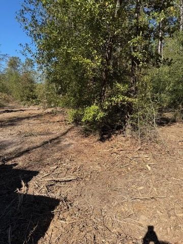 TBD Fm 1280 East, Lovelady, TX 75851