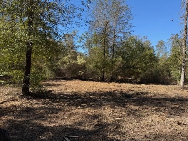 TBD Fm 1280 East, Lovelady, TX 75851