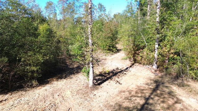 TBD Fm 1280 East, Lovelady, TX 75851