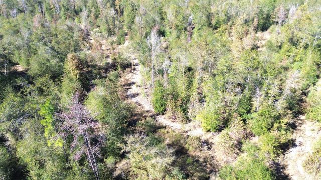 TBD Fm 1280 East, Lovelady, TX 75851