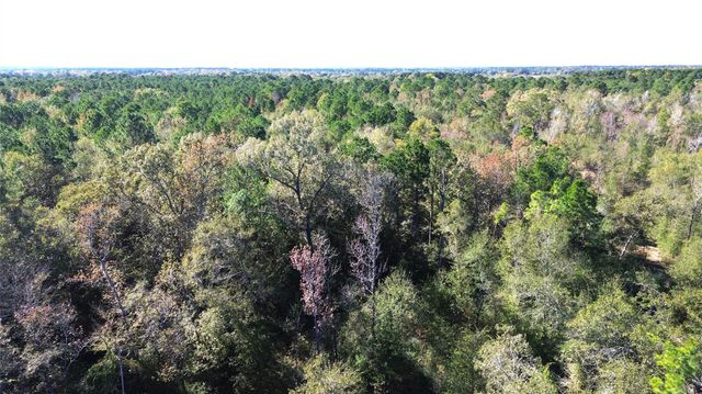 TBD Fm 1280 East, Lovelady, TX 75851