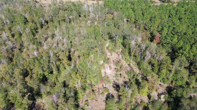 TBD Fm 1280 East, Lovelady, TX 75851