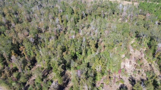 TBD Fm 1280 East, Lovelady, TX 75851