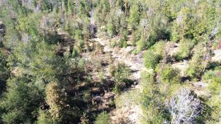 TBD Fm 1280 East, Lovelady, TX 75851