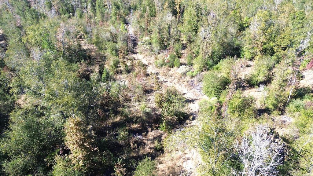 TBD Fm 1280 East, Lovelady, TX 75851