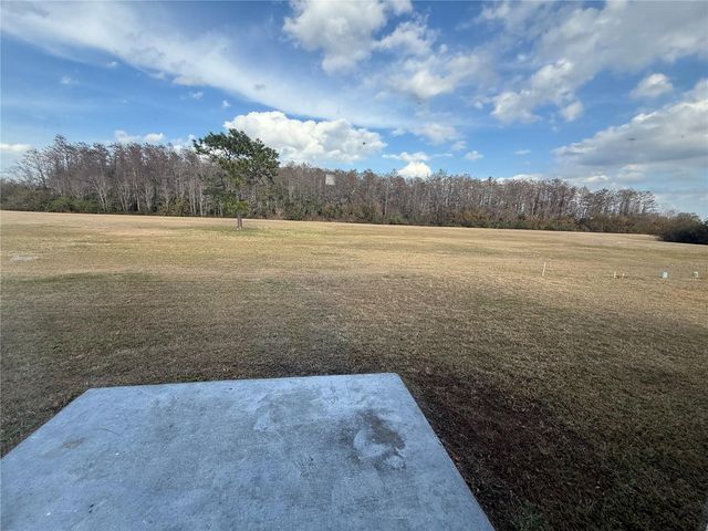 13518 TEXAS WOODS CIRCLE, Orlando, FL 32824