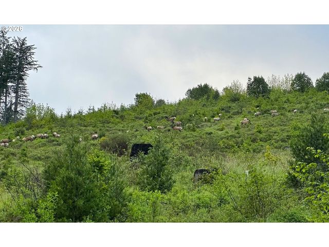 48232 WESTOAK Rd, Westfir, OR 97492