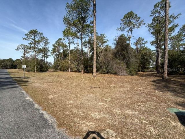 BONSMARA DRIVE, Leesburg, FL 34748