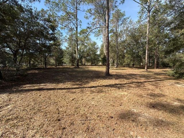 BONSMARA DRIVE, Leesburg, FL 34748