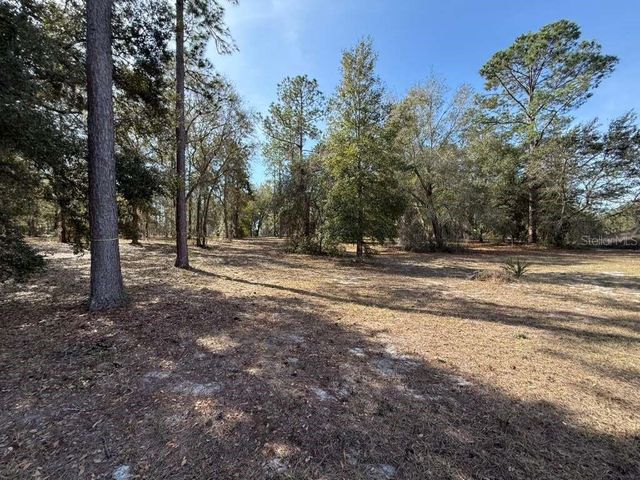 BONSMARA DRIVE, Leesburg, FL 34748