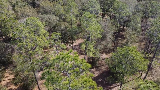 BONSMARA DRIVE, Leesburg, FL 34748