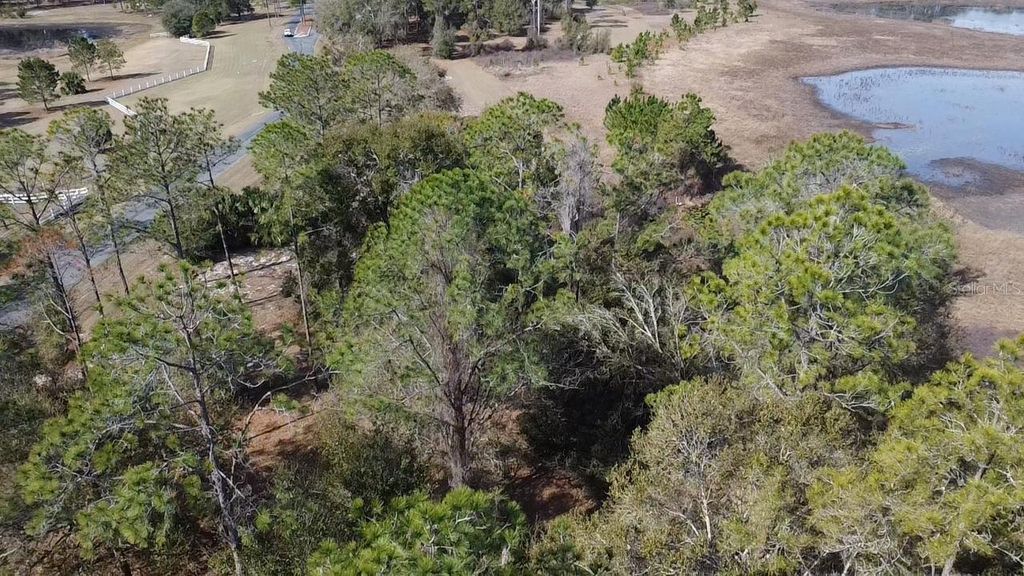 BONSMARA DRIVE, Leesburg, FL 34748