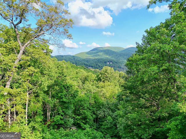 1085 Sky High Drive, Dillard, GA 30537