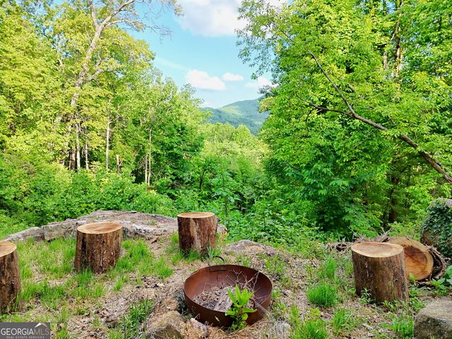 1085 Sky High Drive, Dillard, GA 30537