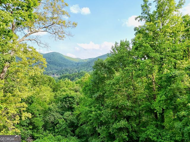 1085 Sky High Drive, Dillard, GA 30537