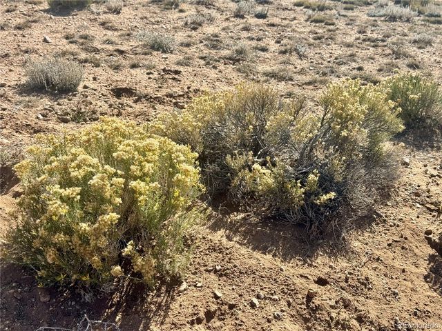 lot 3 S 5th Street, Blanca, CO 81123