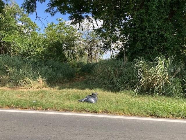 PR-784 STATE ROAD PR-784 ROAD 22, Caguas, PR 00725