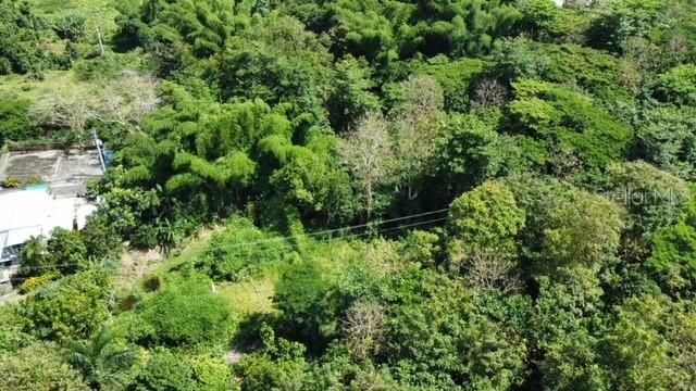 PR-784 STATE ROAD PR-784 ROAD 22, Caguas, PR 00725