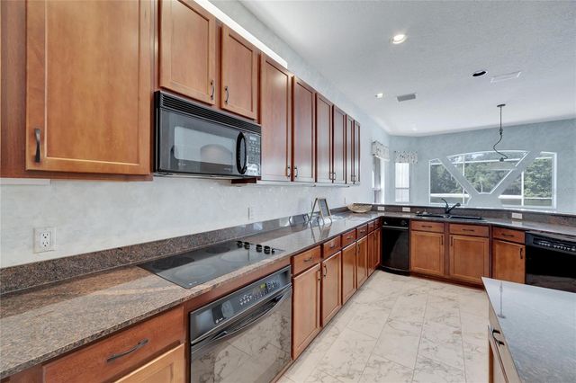 17904 CACHET ISLE DRIVE, Tampa, FL 33647