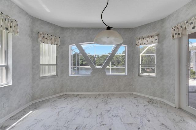 17904 CACHET ISLE DRIVE, Tampa, FL 33647