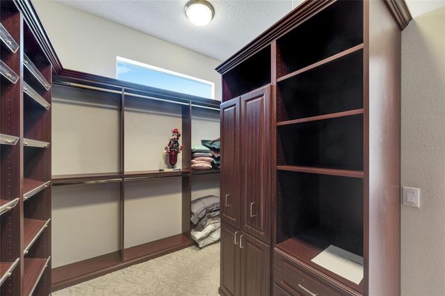 17904 CACHET ISLE DRIVE, Tampa, FL 33647