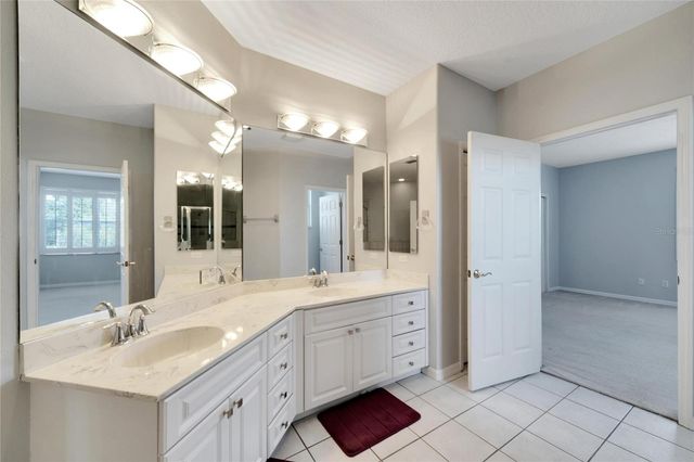 17904 CACHET ISLE DRIVE, Tampa, FL 33647