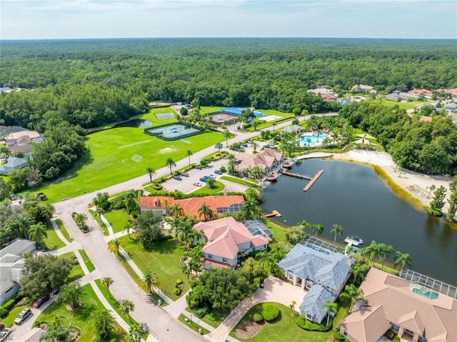 17904 CACHET ISLE DRIVE, Tampa, FL 33647