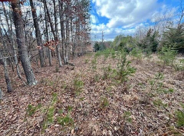 Lot 13 Tarragon WAY, Moneta, VA 24121