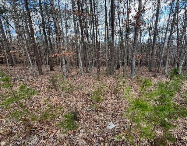Lot 13 Tarragon WAY, Moneta, VA 24121