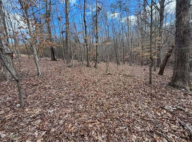 Lot 13 Tarragon WAY, Moneta, VA 24121
