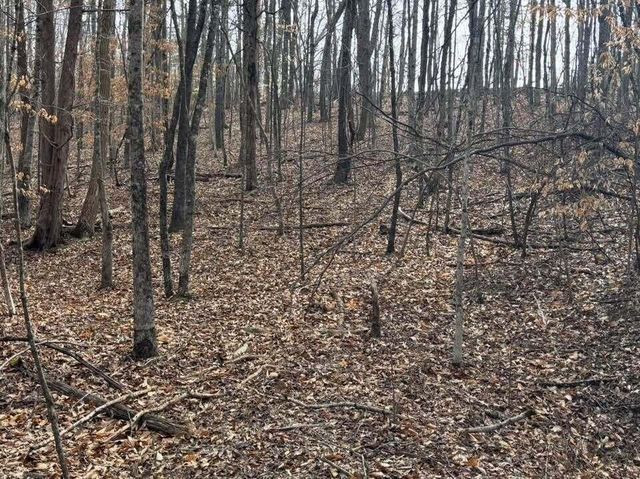 Lot 13 Tarragon WAY, Moneta, VA 24121