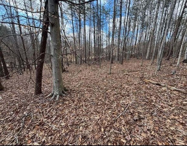 Lot 13 Tarragon WAY, Moneta, VA 24121