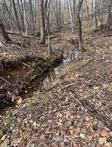 Lot 13 Tarragon WAY, Moneta, VA 24121