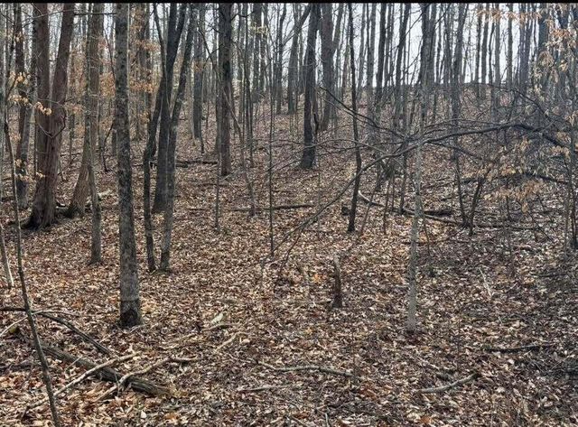 Lot 13 Tarragon WAY, Moneta, VA 24121