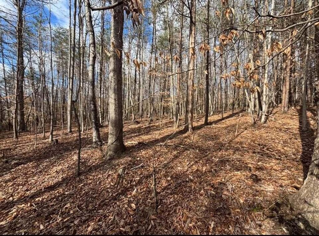 Lot 13 Tarragon WAY, Moneta, VA 24121