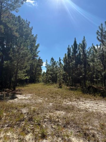 Tbd Mt Beulah Road, Windsor, SC 29856