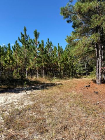 Tbd Mt Beulah Road, Windsor, SC 29856