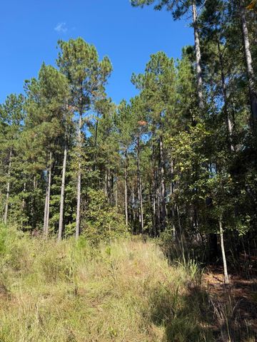 Tbd Mt Beulah Road, Windsor, SC 29856