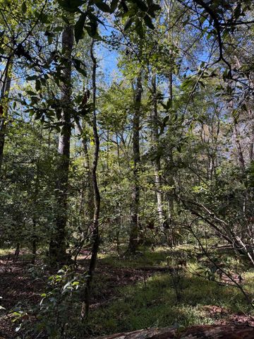 Tbd Mt Beulah Road, Windsor, SC 29856