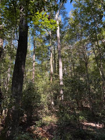 Tbd Mt Beulah Road, Windsor, SC 29856