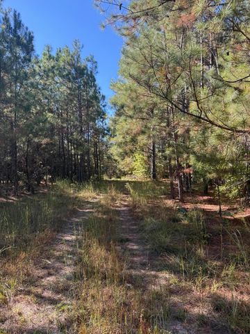 Tbd Mt Beulah Road, Windsor, SC 29856