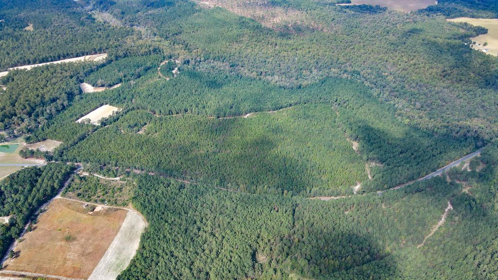 Tbd Mt Beulah Road, Windsor, SC 29856