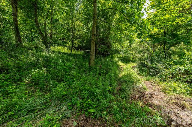 789 Jarrett Cove Road, Marshall, NC 28753