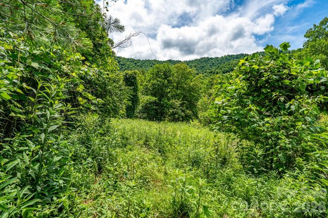 789 Jarrett Cove Road, Marshall, NC 28753