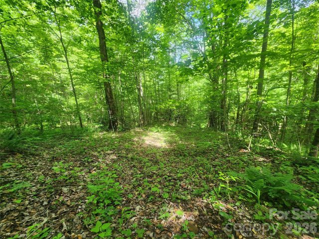 789 Jarrett Cove Road, Marshall, NC 28753