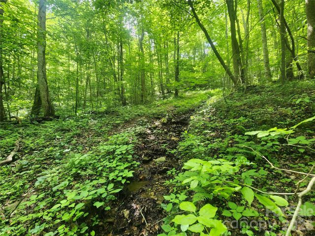 789 Jarrett Cove Road, Marshall, NC 28753