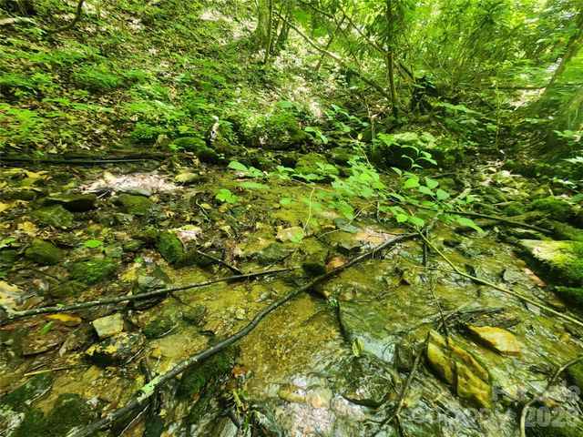 789 Jarrett Cove Road, Marshall, NC 28753